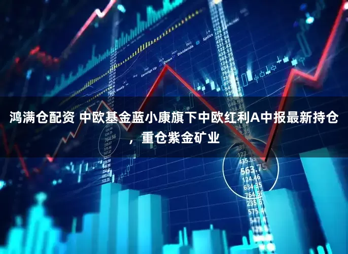 鸿满仓配资 中欧基金蓝小康旗下中欧红利A中报最新持仓，重仓紫金矿业